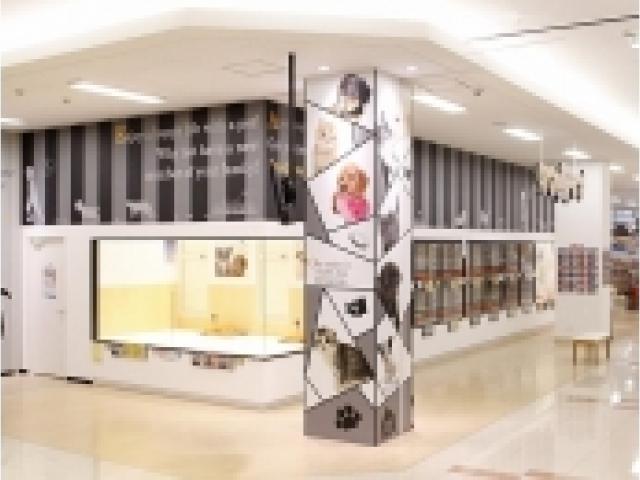 店舗入口