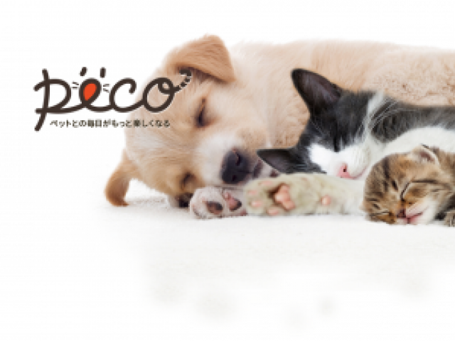 日本最大級のペットメディア「PECO」