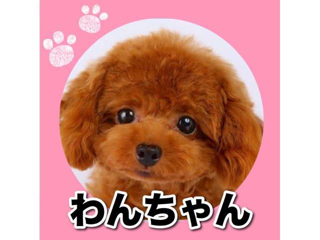 接客スタッフの求人情報 ペット求人ナビ