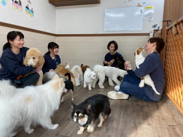 オヤツやオモチャを使ったモチベーショントレーニングを用いています。