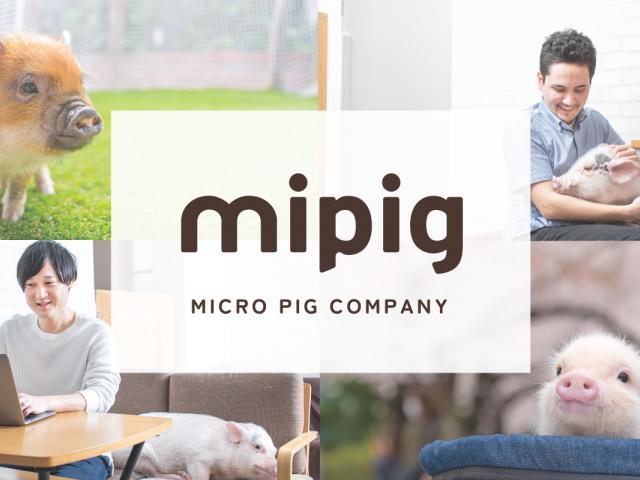 マイクロブタさんの飼い主サポートスタッフ
