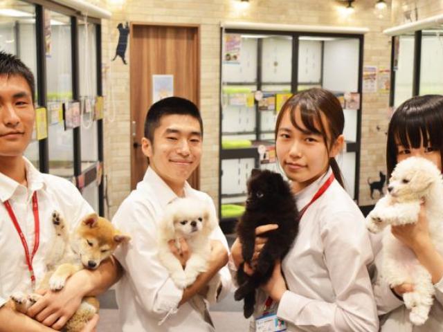 ワンラブ Onelove おのだサンパーク店 接客販売スタッフ 募集 接客スタッフ 山口県 山陽小野田市 ペット求人ナビ