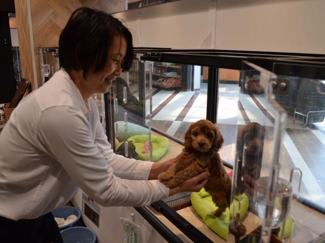 ワンラブ Onelove おのだサンパーク店 接客販売スタッフ 募集 接客スタッフ 山口県 山陽小野田市 ペット求人ナビ