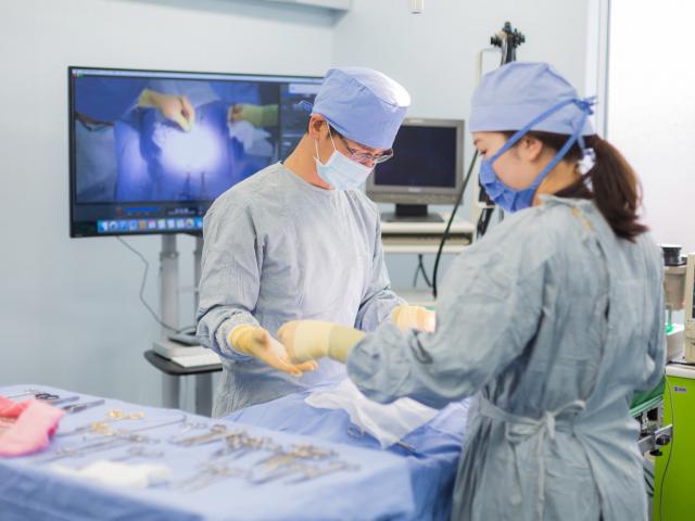 経験者獣医師急募 リヴ動物病院 福岡県糟屋郡須恵町 獣医師 有資格者のみ 福岡県 糟屋郡須惠町 ペット求人ナビ 経験者獣医師急募 リヴ動物病院 福岡県糟屋郡須恵町 獣医師 有資格者のみ 福岡県 糟屋郡須惠町 ペット求人ナビ